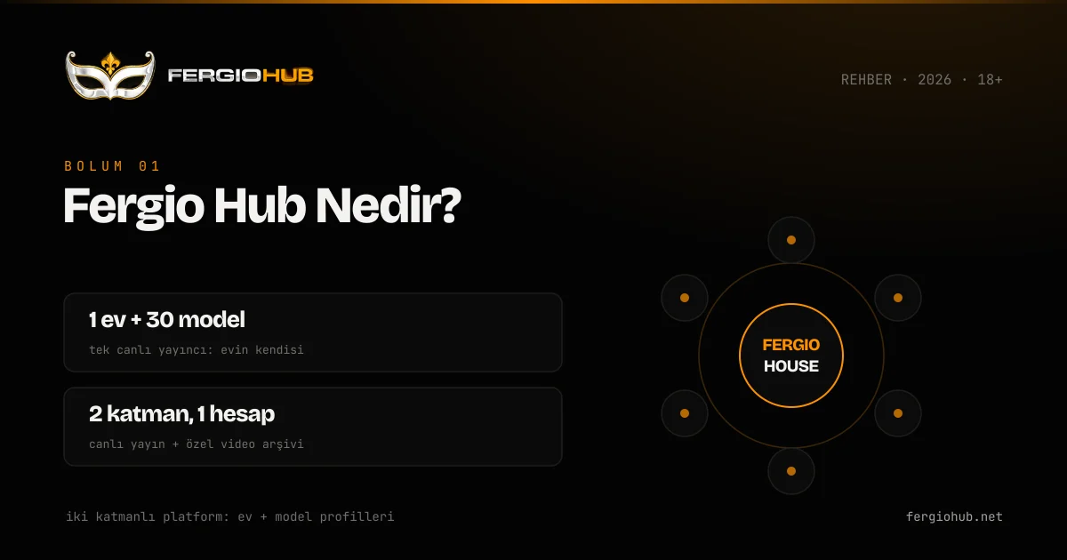 FergioHub nedir — platformun yapısını gösteren şema